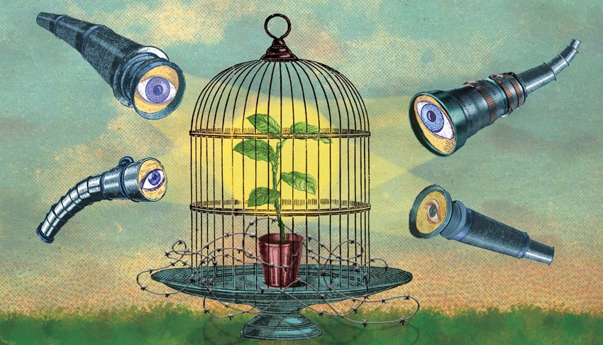 Pioneers do not Need Apply - Times Higher Education